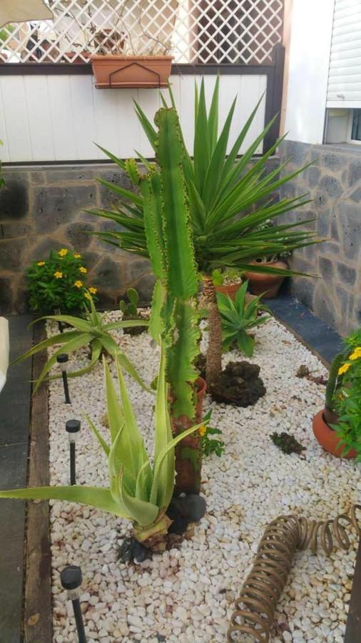 Elegant Villa In Corralejo Exterior photo